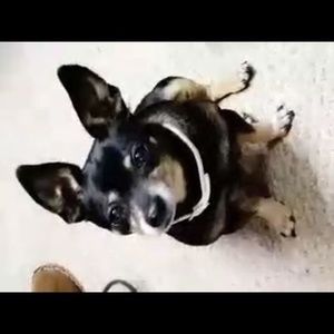 Meet your Posher, Wanda